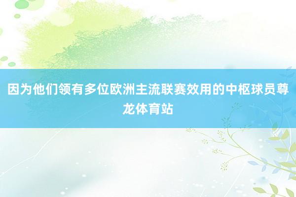 因为他们领有多位欧洲主流联赛效用的中枢球员尊龙体育站