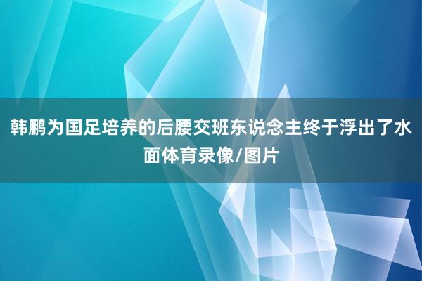 韩鹏为国足培养的后腰交班东说念主终于浮出了水面体育录像/图片