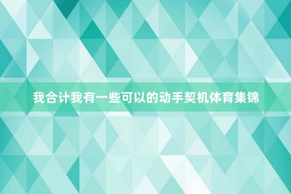 我合计我有一些可以的动手契机体育集锦