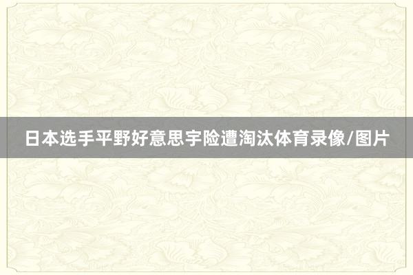 日本选手平野好意思宇险遭淘汰体育录像/图片