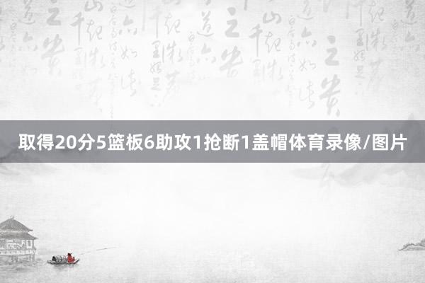 取得20分5篮板6助攻1抢断1盖帽体育录像/图片