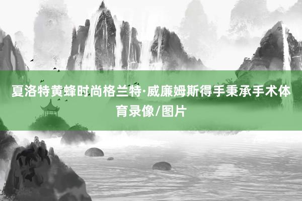 夏洛特黄蜂时尚格兰特·威廉姆斯得手秉承手术体育录像/图片