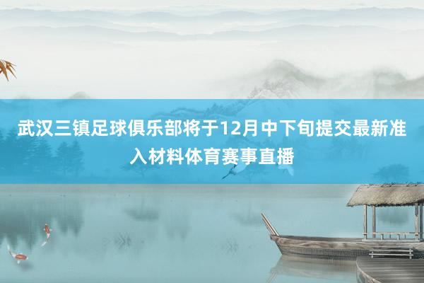 武汉三镇足球俱乐部将于12月中下旬提交最新准入材料体育赛事直播