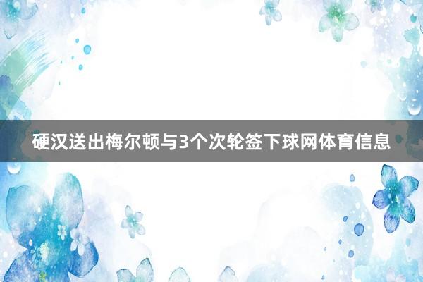 硬汉送出梅尔顿与3个次轮签下球网体育信息