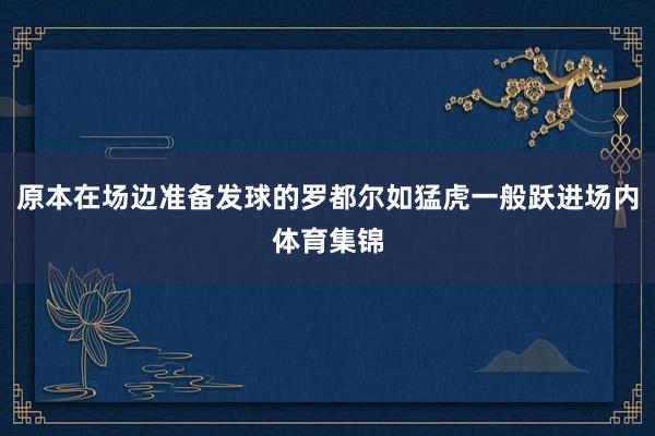 原本在场边准备发球的罗都尔如猛虎一般跃进场内体育集锦