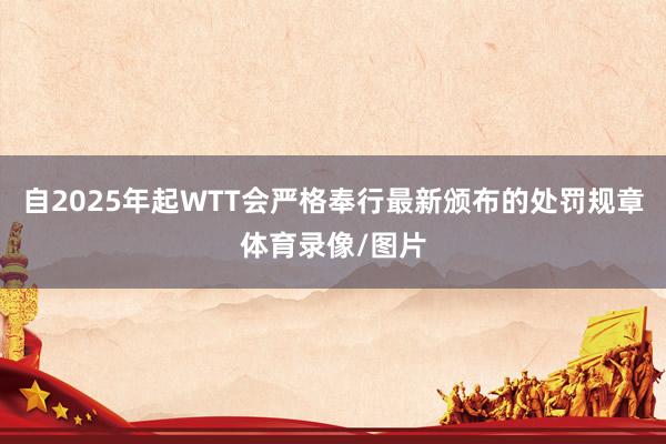 自2025年起WTT会严格奉行最新颁布的处罚规章体育录像/图片