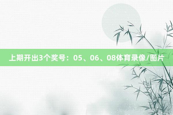 上期开出3个奖号：05、06、08体育录像/图片