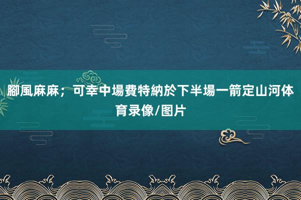 腳風麻麻；可幸中場費特納於下半場一箭定山河体育录像/图片