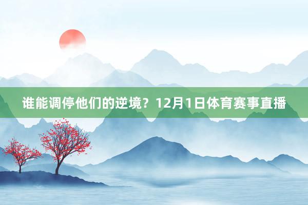 谁能调停他们的逆境？12月1日体育赛事直播