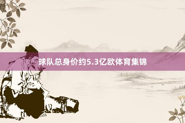 球队总身价约5.3亿欧体育集锦