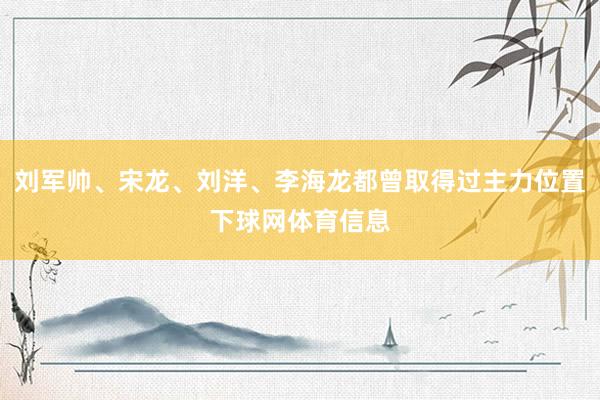 刘军帅、宋龙、刘洋、李海龙都曾取得过主力位置下球网体育信息